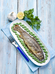 trout with spinach cream decoration