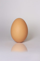 Chicken egg