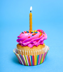 Pink Birthday Cupcake