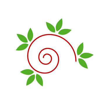 Abstract snail with green leaves- logo concept