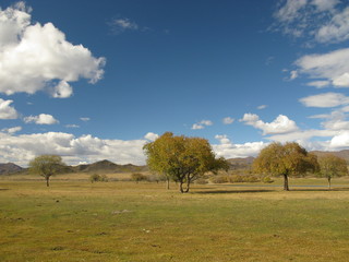 Mongolia - landscape near Selenge river