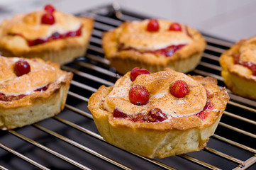cakeы with cranberries
