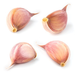 Garlic clove isolated on white. Collection