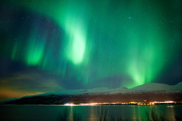 Green aurora borealis dancing in the sky - 61997819