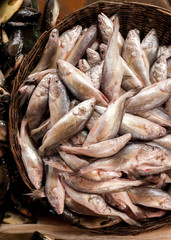 Raw fresh fish for sale at asian food market