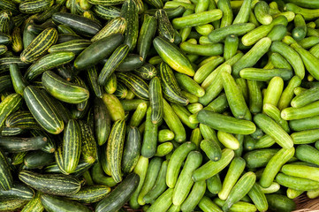 Fresh organic cucumbers at asian market