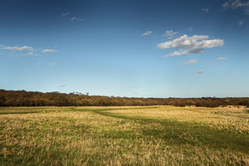 Obraz premium pictoresque landscape