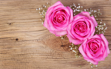 Pink Roses and Gypsophila on Wooden Background