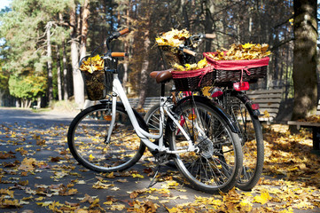 Fototapeta na wymiar Two bicycles in autumn park with yellow tree leaves