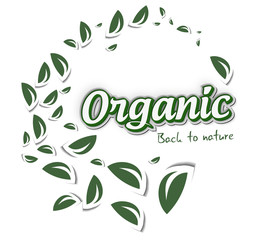 Green organic label with leaves on white, vector illustration