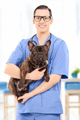 Young male veterinarian in uniform holding a dog, indoors