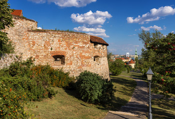 Medieval bastion 