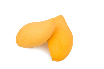 yellow mango