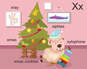 Alphabet X letter,xray,xmas,xm as cookkie,xylophone,xiphias