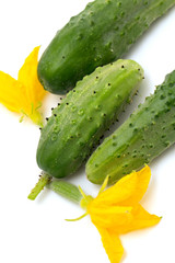 fresh cucumbers isolated on white background