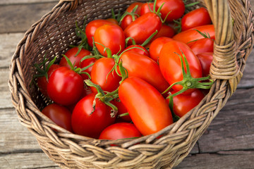 basket with fresh tomatoes