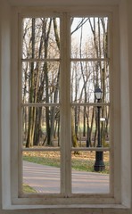 Obraz premium Autumn park with street lamp from window