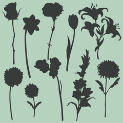 Vector set of flowers silhouettes