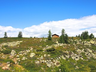 ヨーロッパ、アルプスの大草原