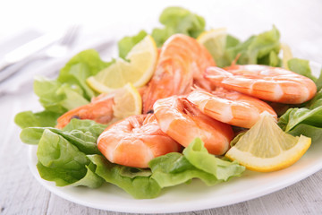 shrimp salad