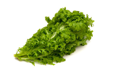 わさび菜-Brassica juncea