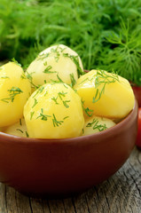 Boiled potatoes with dill