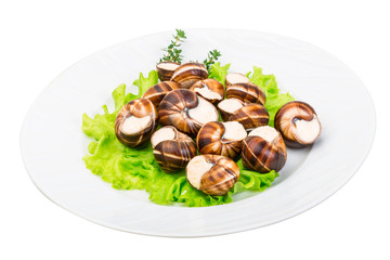 Escargot