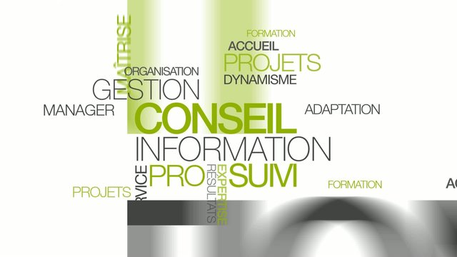 Conseil information gestion formation suivi nuage de mots