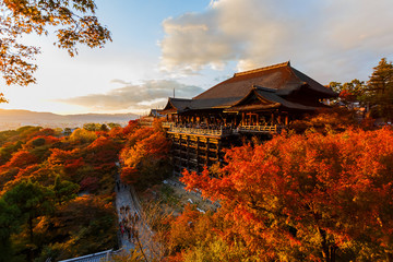 Naklejka premium Świątynia Kiyomizu-dera w Kioto
