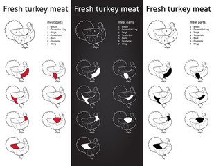 Fresh Turkey meat parts Icons for packaging and info-graphic