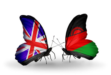 Two butterflies with flags UK and Malawi