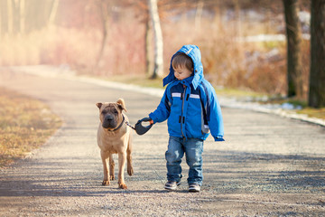 Little boy with his dog in the park