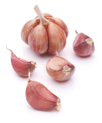 Garlic bulb isolated on white background cutout
