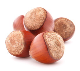 hazelnut or filbert nut isolated on white background cutout