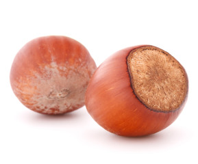 hazelnut or filbert nut isolated on white background cutout