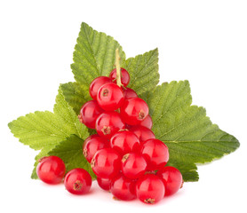 Red currants and green leaves still life