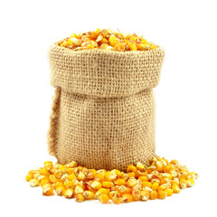 corn