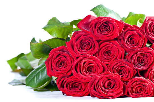 bouquet of  red roses on white