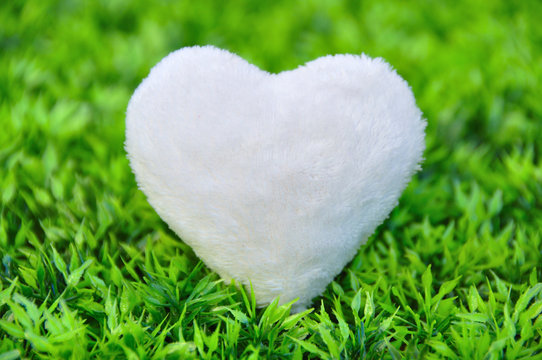 Coeur en herbe