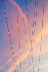 electrical wires with pink sunset clouds