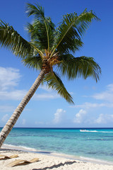 Fototapeta na wymiar Karaibskiej plaży, Dominikana