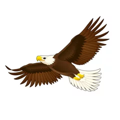 Fotobehang American eagle. © ddraw