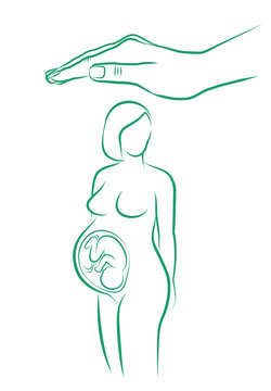 Schutz des ungeborenen Kindes, Schwangerschaft