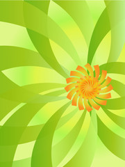 flower background