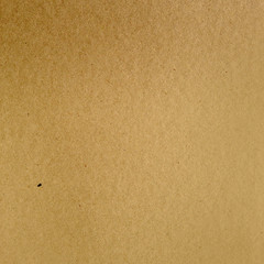 Cardboard