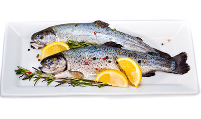  fish market 