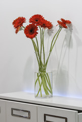 bouquet of red gerberas in a glass vase