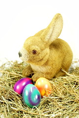 Osterhase und Ostereier im Nest