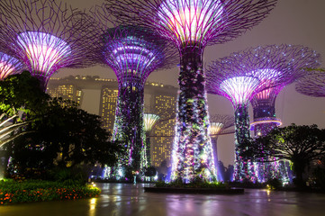 Naklejka premium Singapore. Gardens by the Bay