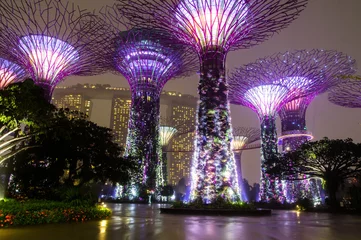 Papier Peint photo autocollant Singapour Singapour. Des jardins sur la baie
